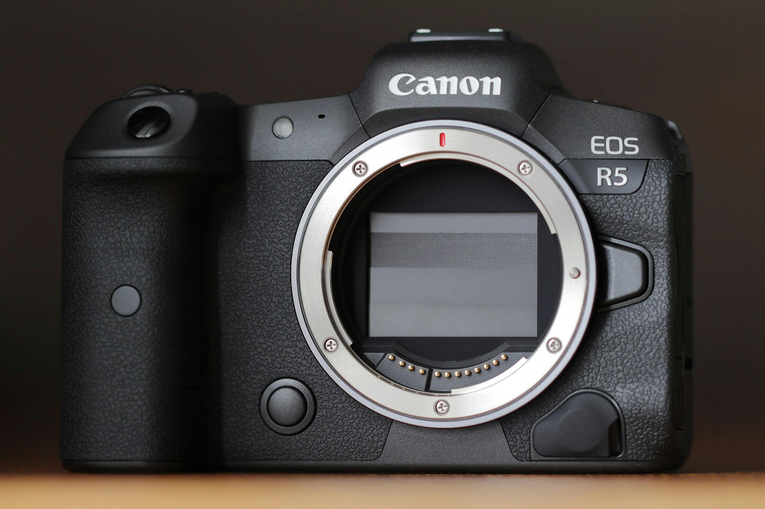 Cover Image for Evaluating the Canon EOS R5: A High-Resolution Powerhouse